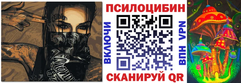 Галлюциногенные грибы Psilocybe  Орёл 