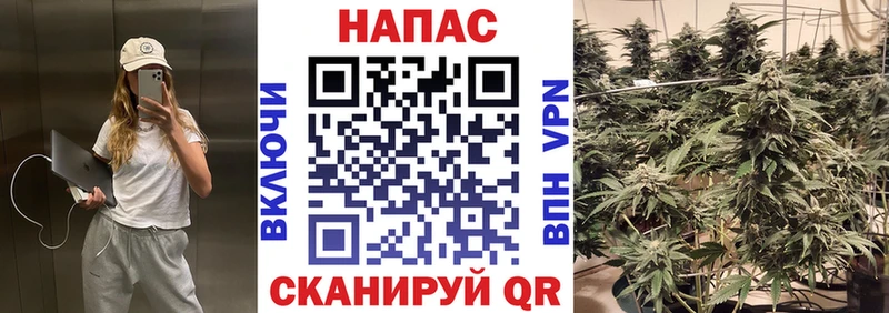 Бошки марихуана сатива  купить наркотик  Орёл 